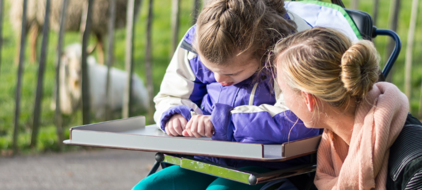 Subsidie voor gehandicaptenorganisaties