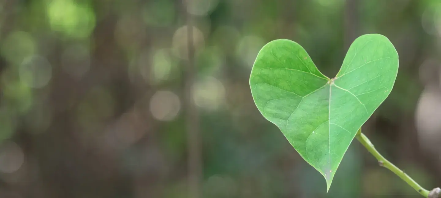 Blad met hartje