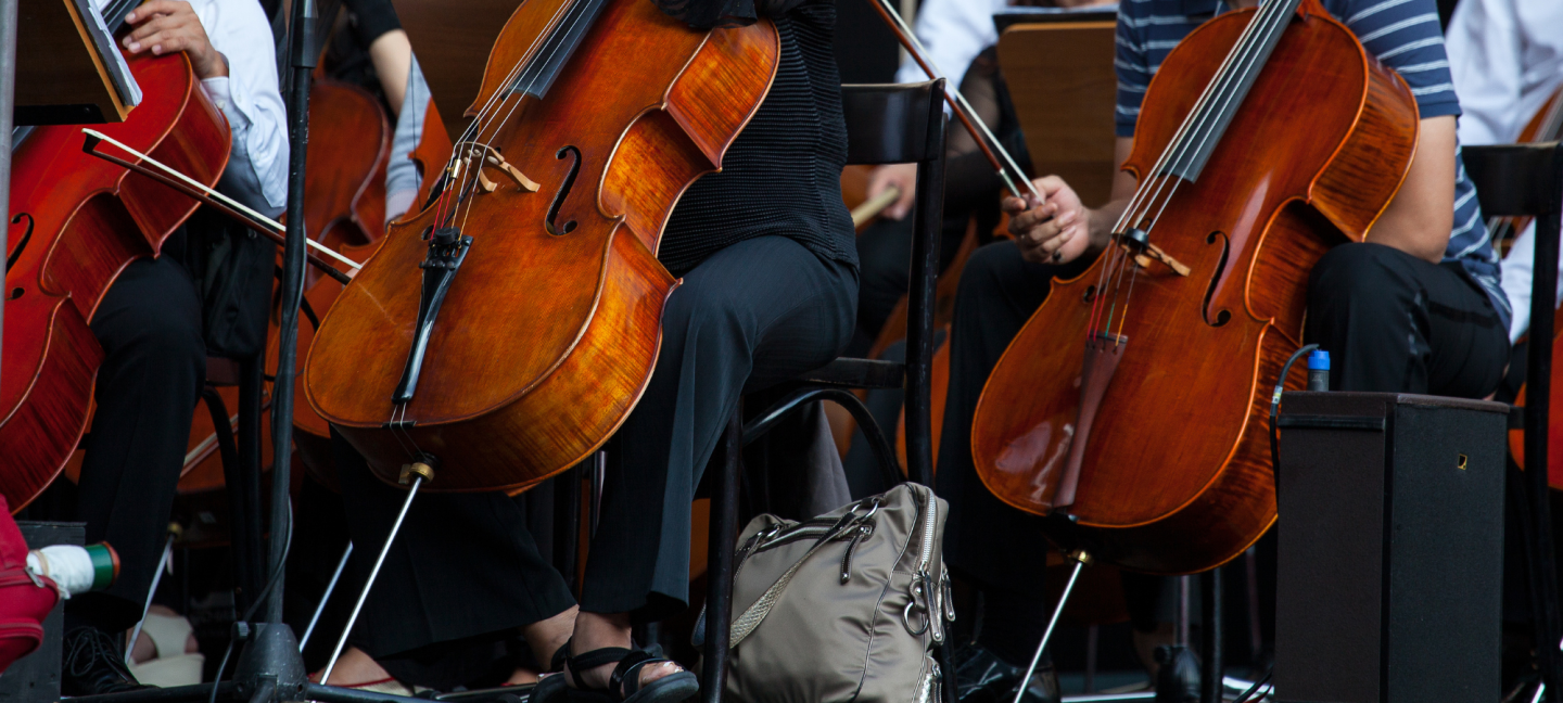 Kamermuziek - Strijkorkest - Strijkinstrumenten