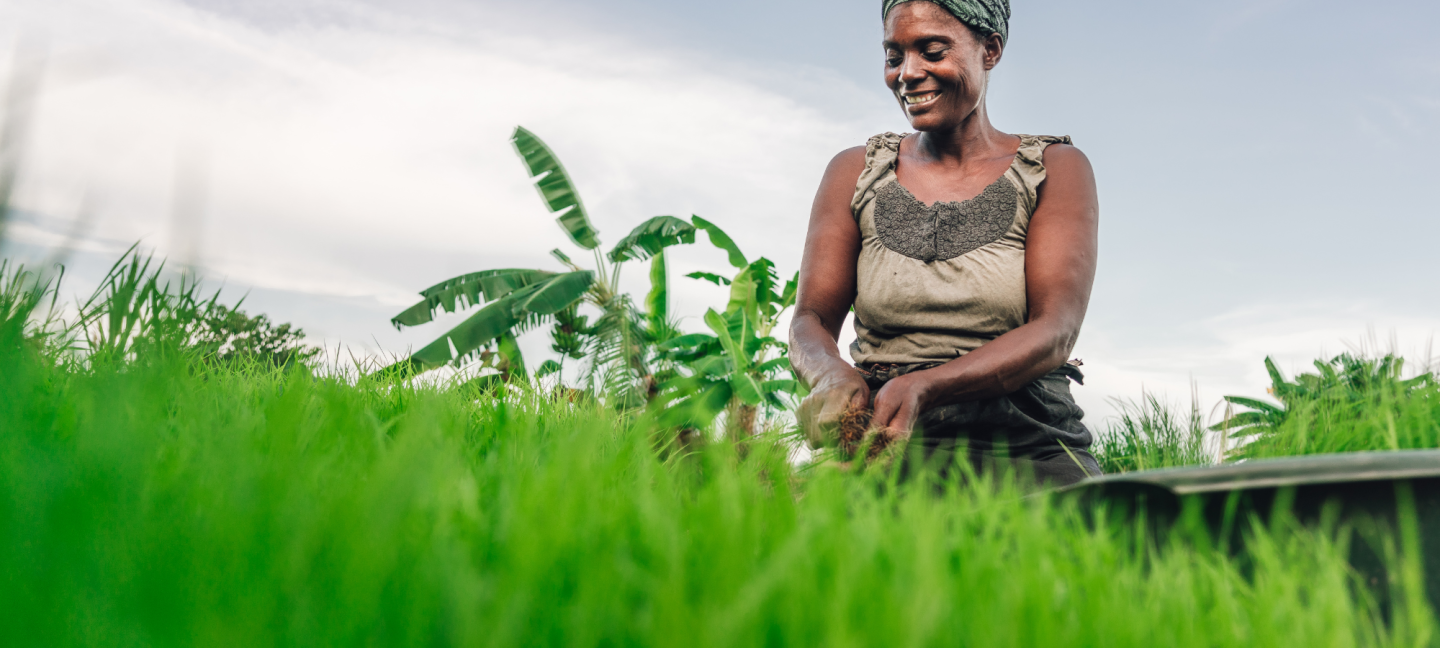 Boeren - Tazania - Ontwikkelingswerk