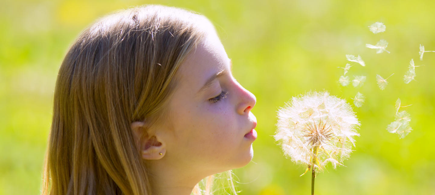 Kinderen - Meisje - Natuur - Zonnebloem