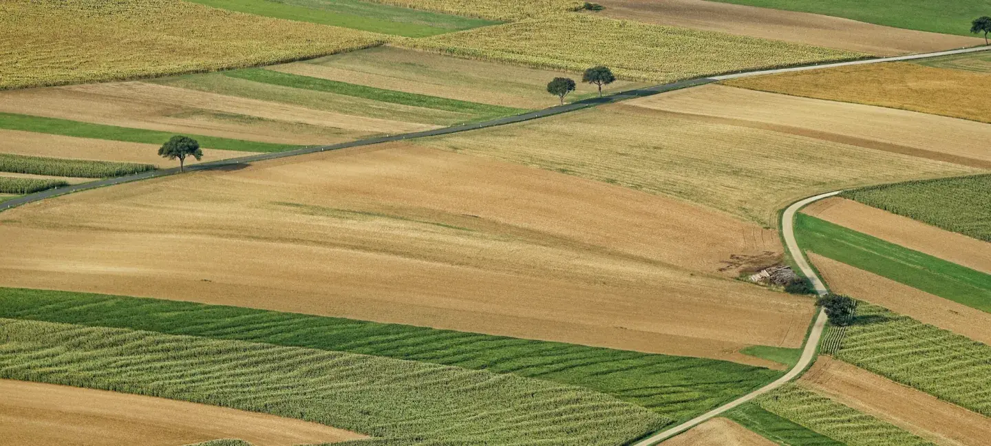 Landschap - Landschapsbeheer - Landerijen
