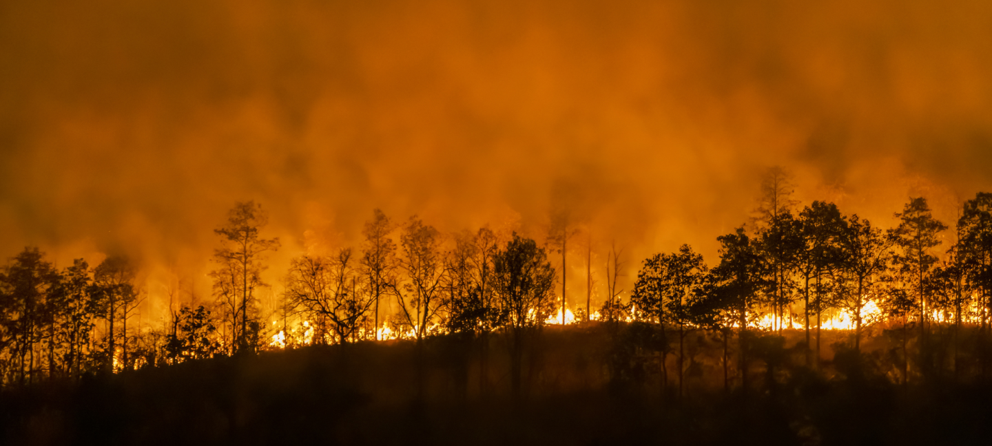 Rampen - Bosbrand