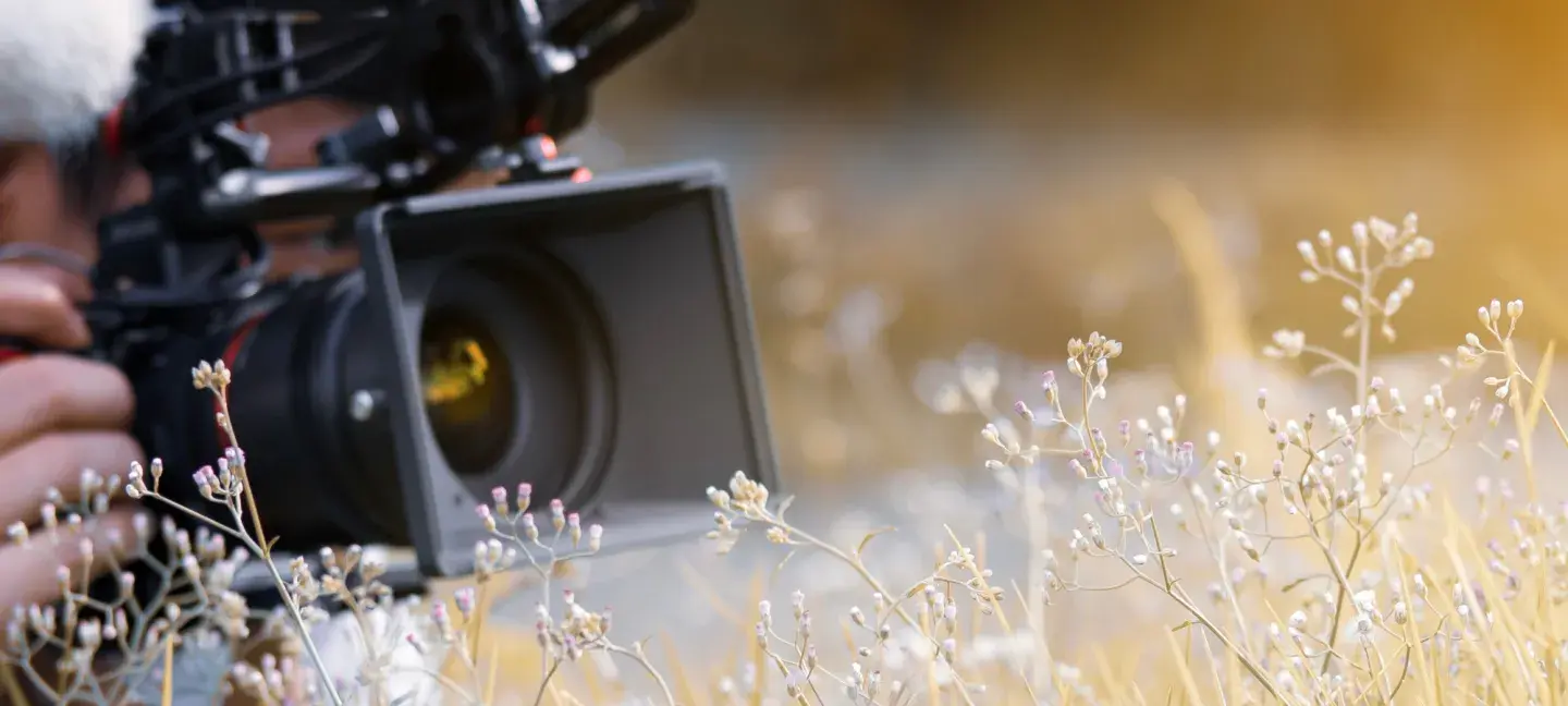 Documentaire - Film- Milieu