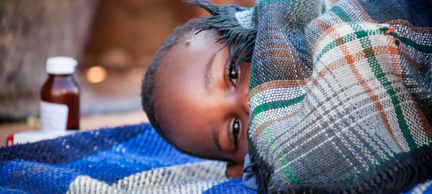 Malaria ontwikkelingslanden
