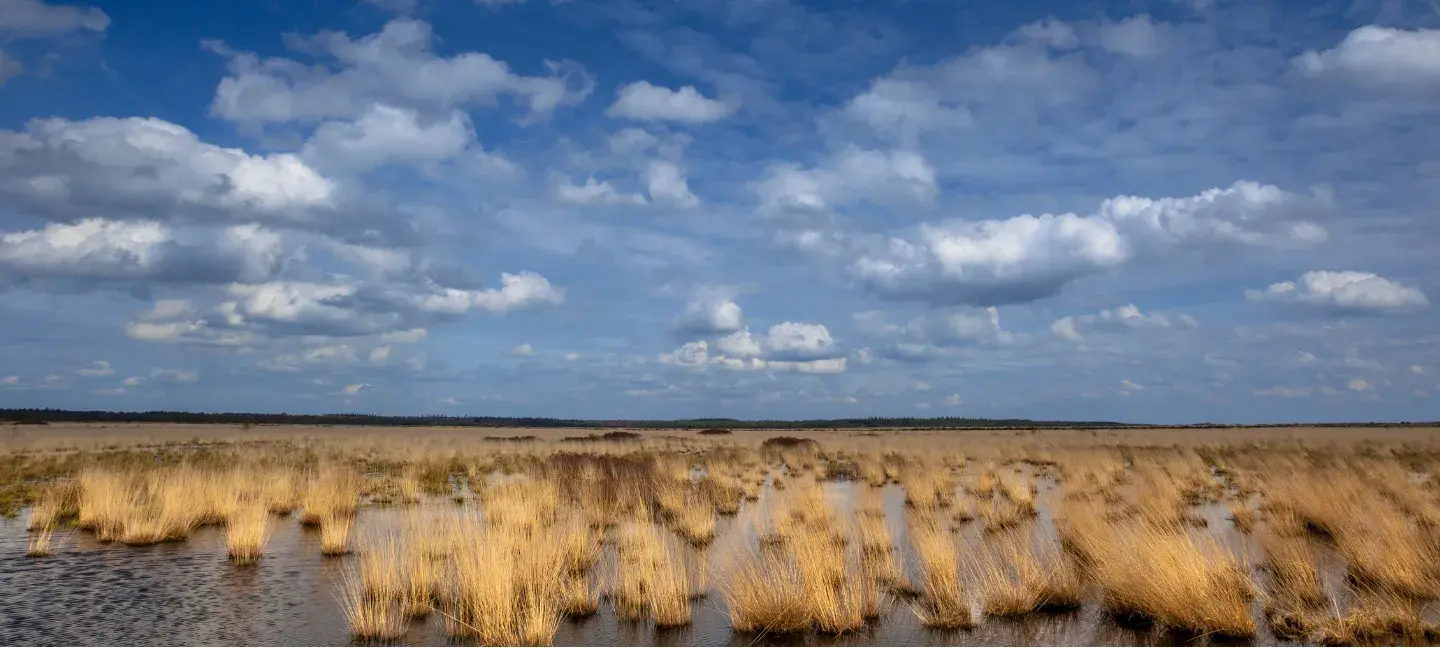 Natura2000 - Natura 2000 - Subsidie