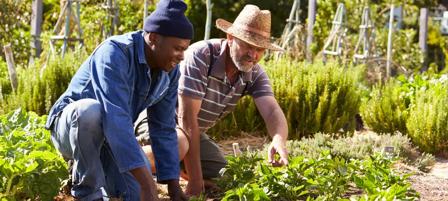 Moestuin - Wijkproject - Integratie