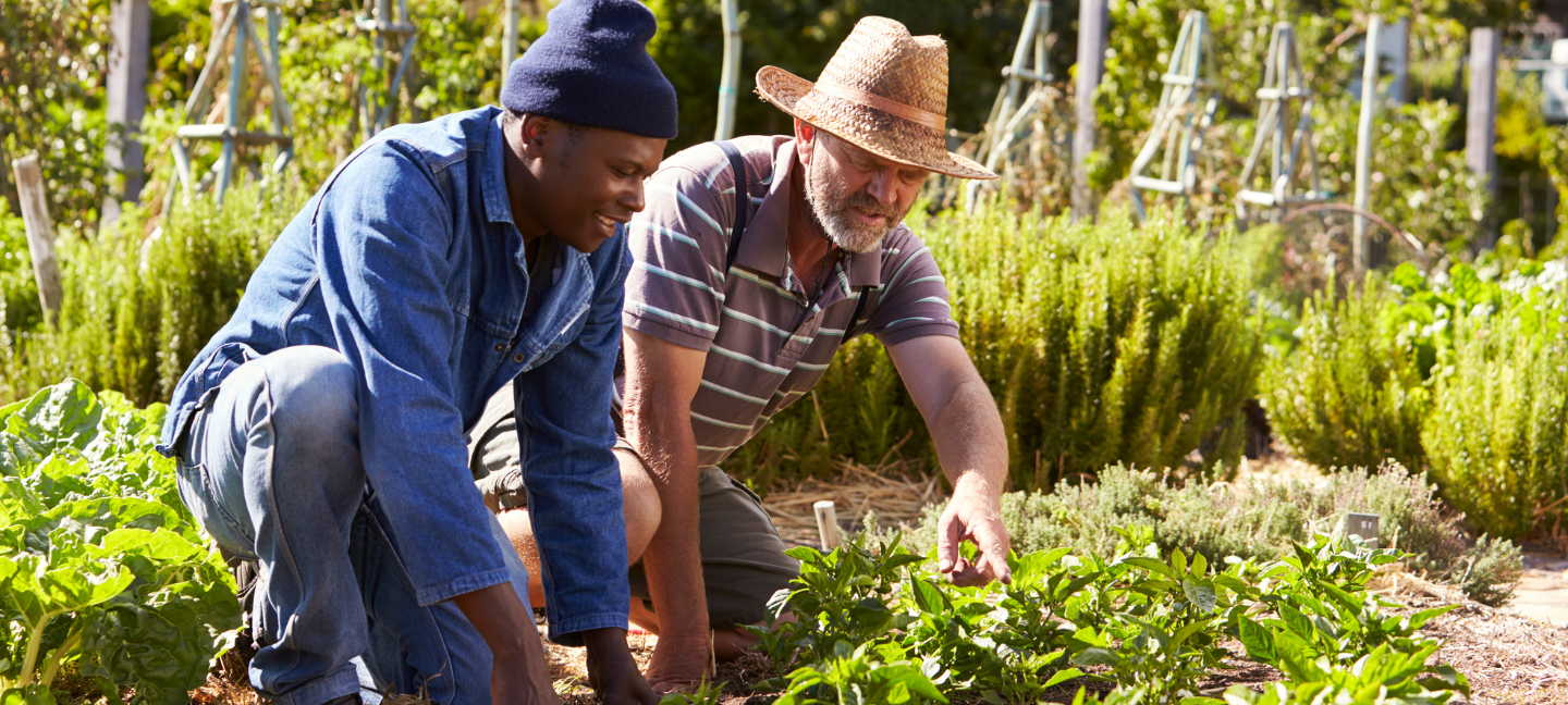 Moestuin - Wijkproject - Integratie
