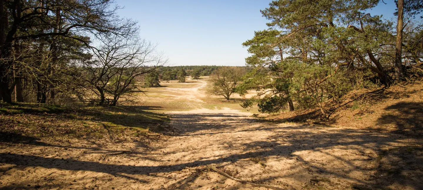Veluwe
