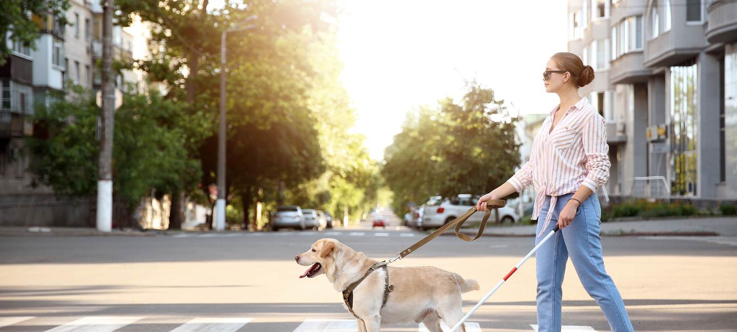 Blind - Blinden - Hondegeleidehond