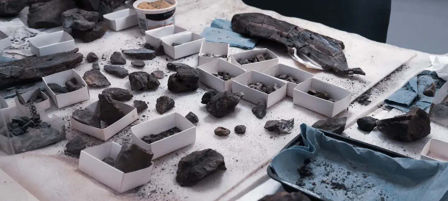 Archeologie - Archeoloog - Geschiedenis - Historie