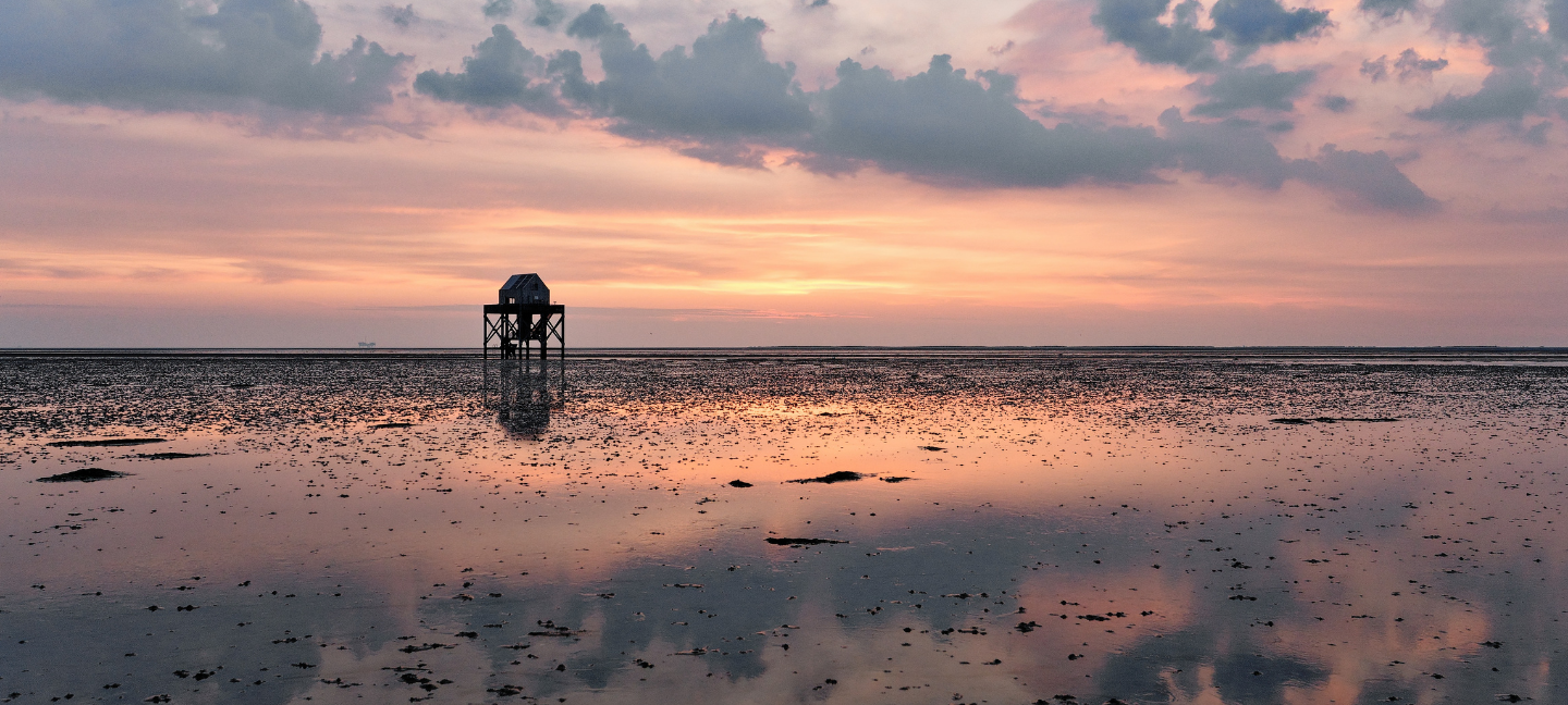 Friesland - Zonsopgang - wadden