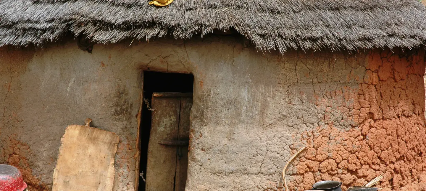 Derde wereld - Ontwikkelingswerk - Ontwikkelingssamenwerving