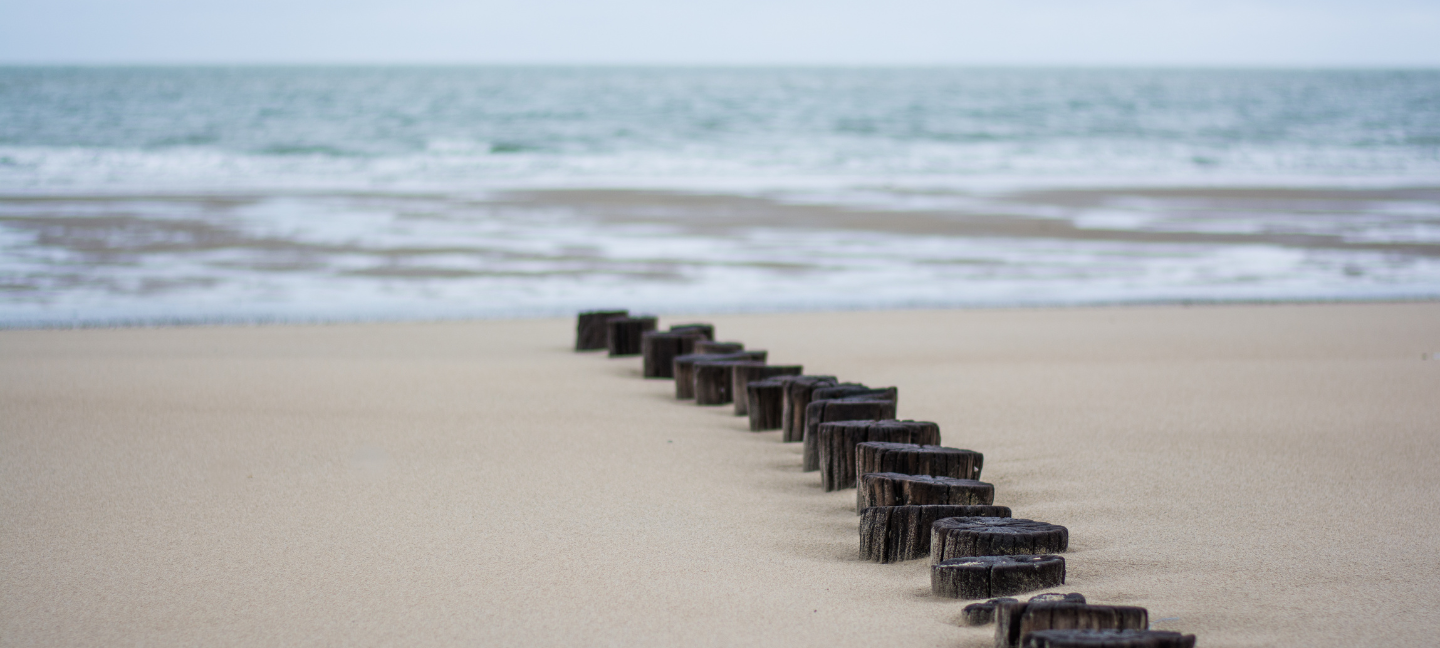 Natuur - Zee - Zeeland