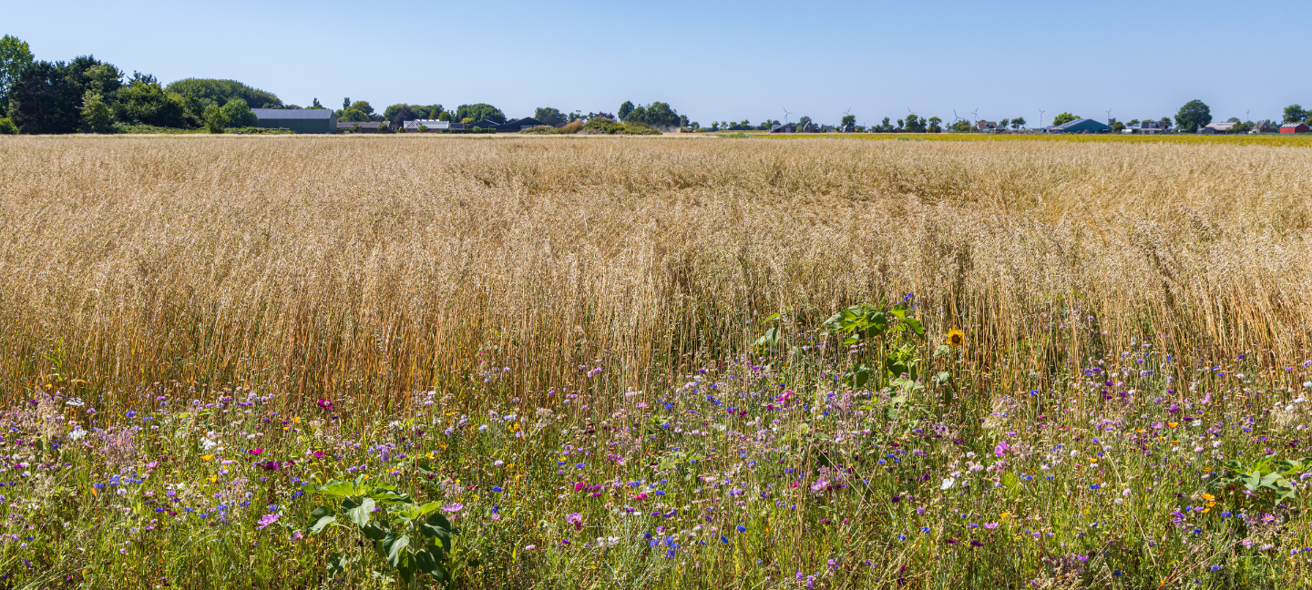 natuurinclusieve landbouw