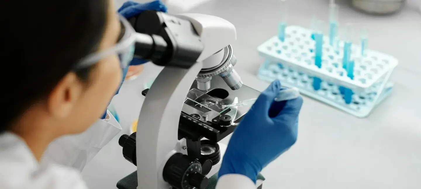 Biomedisch onderzoek - Onderzoe