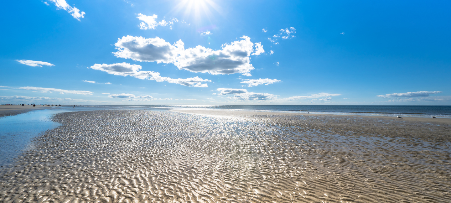 Noordzee - Wadden - Strand - Natuur