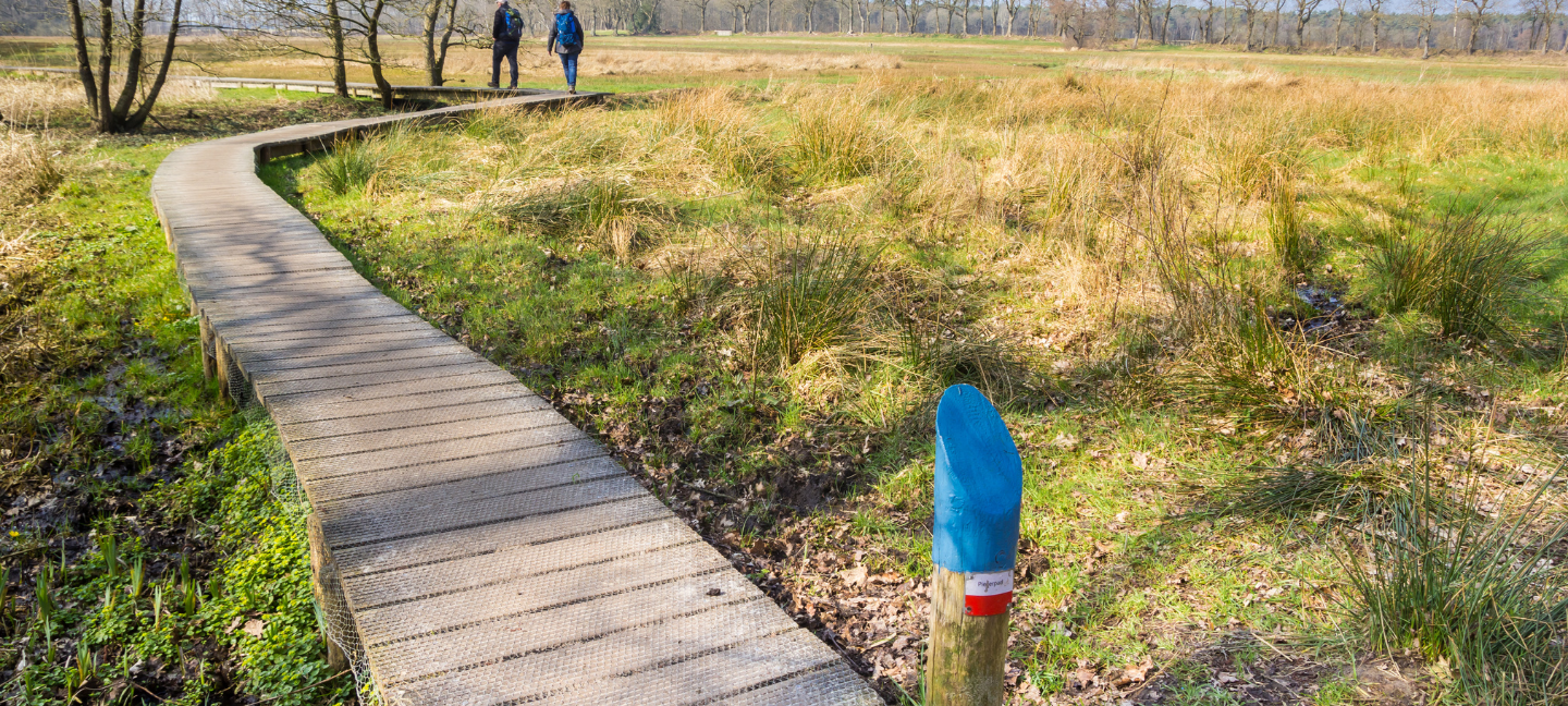 Wandelen