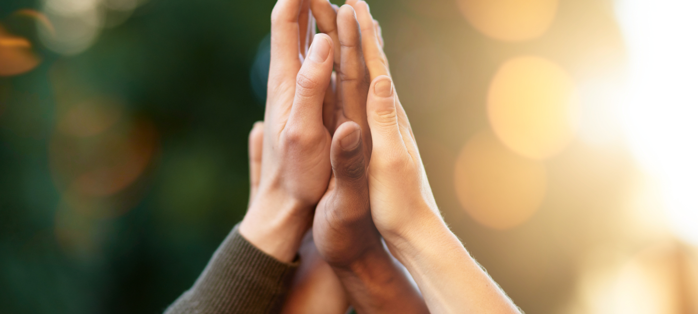 Solidariteit