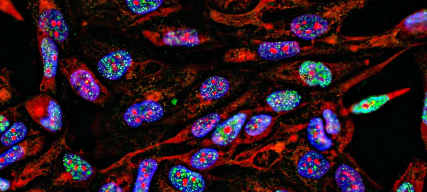 Biomarkers - Onderzoek