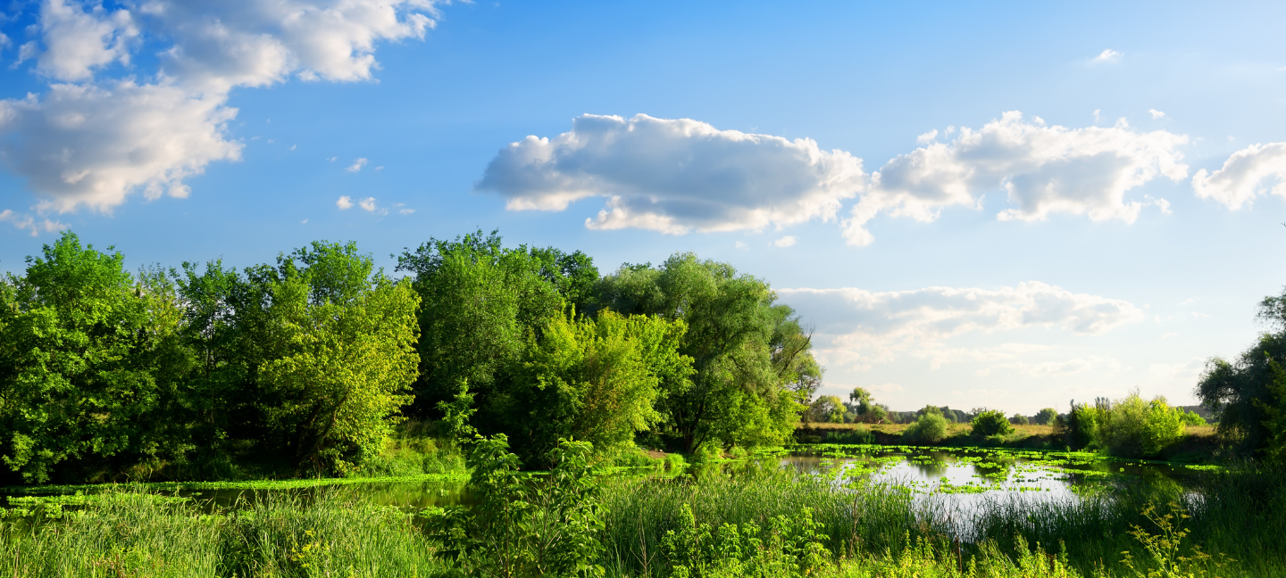 Natuur - natuurgebied