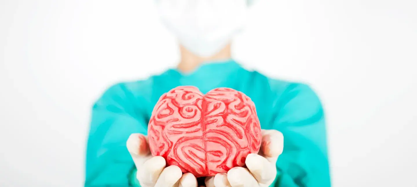 Organen - Orgaandonatie - Hersenen