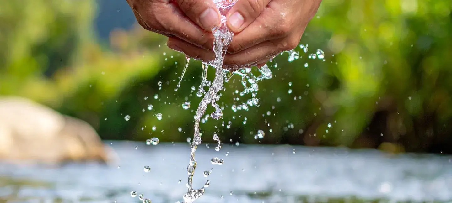 Rivier - Water - Milieu - Natuur