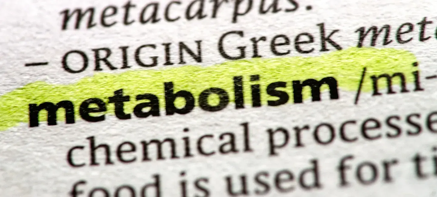 Metabolisme - Overgewicht