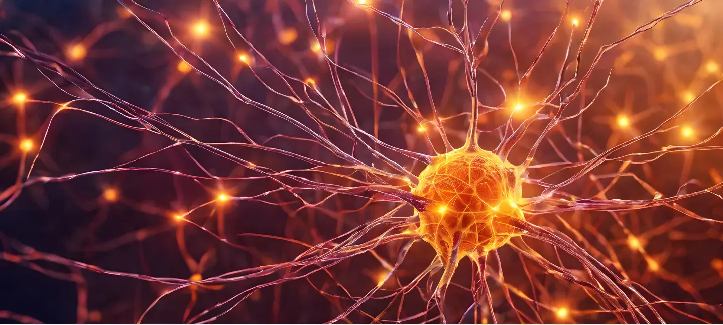 Neurowetenschap - Psychoanalyse