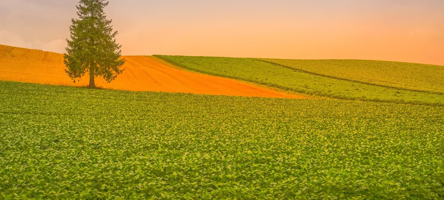 Boerenland - NNN - Functieverandering natuur