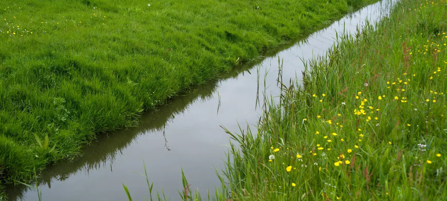 Boerensloot - Water - Sloot