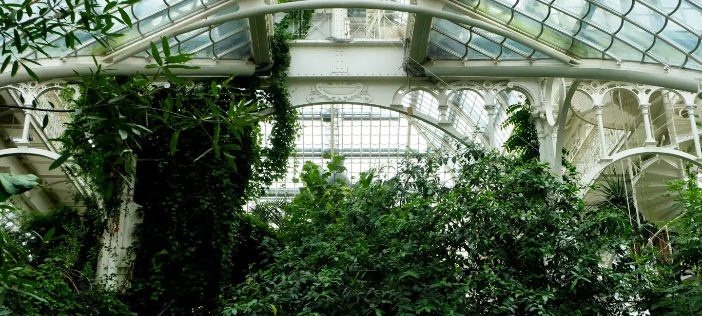 Cultuur - Culturele instelling