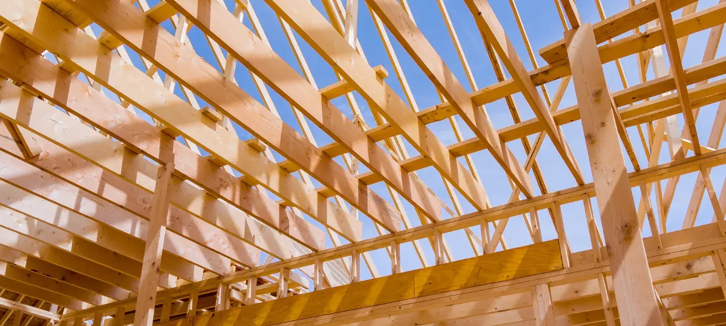 Houtbouw - Bouwen - Bouw - Nieuwsbouw