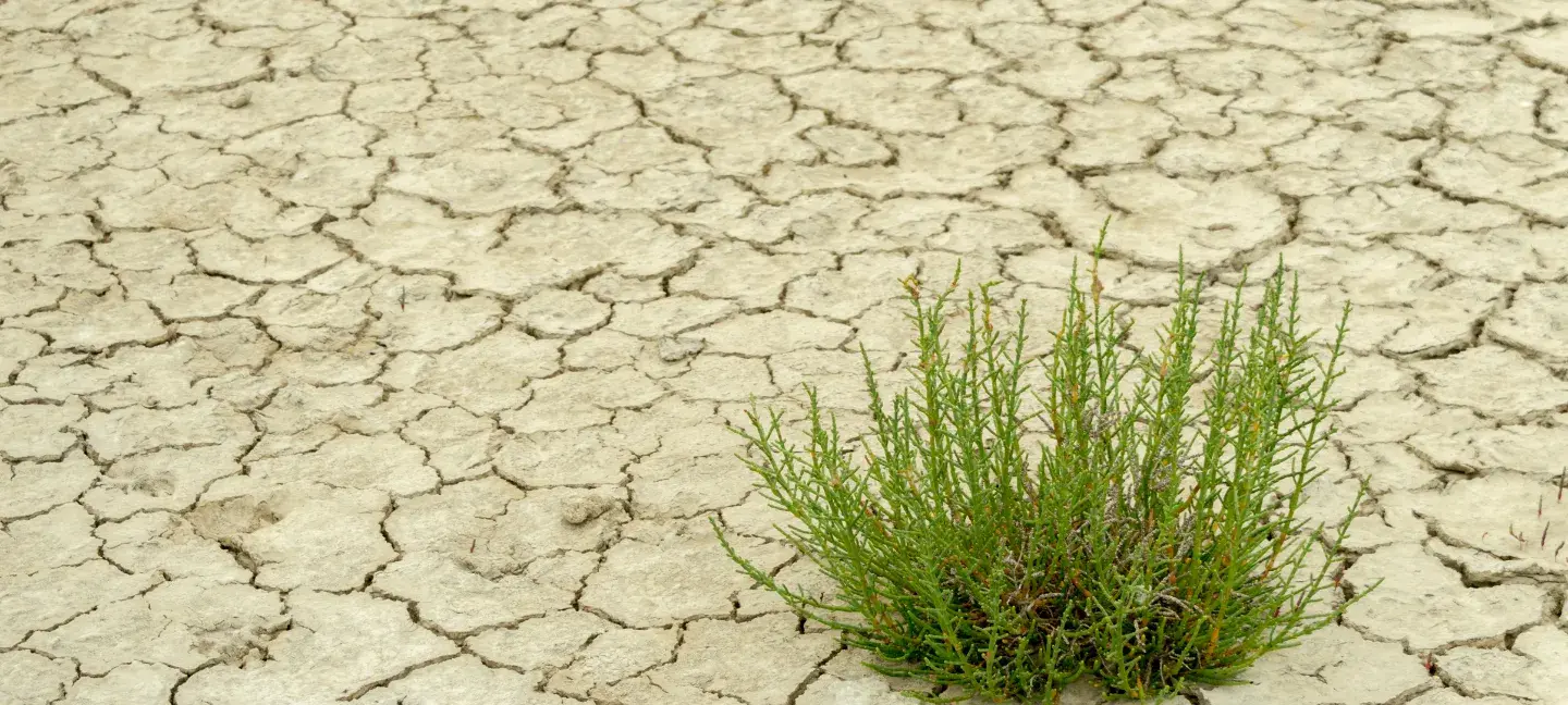 Klimaatadaptie - Klimaatverandering