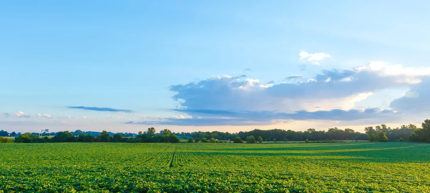 Landbouwgrond - Landbouw - Natuur - NNN