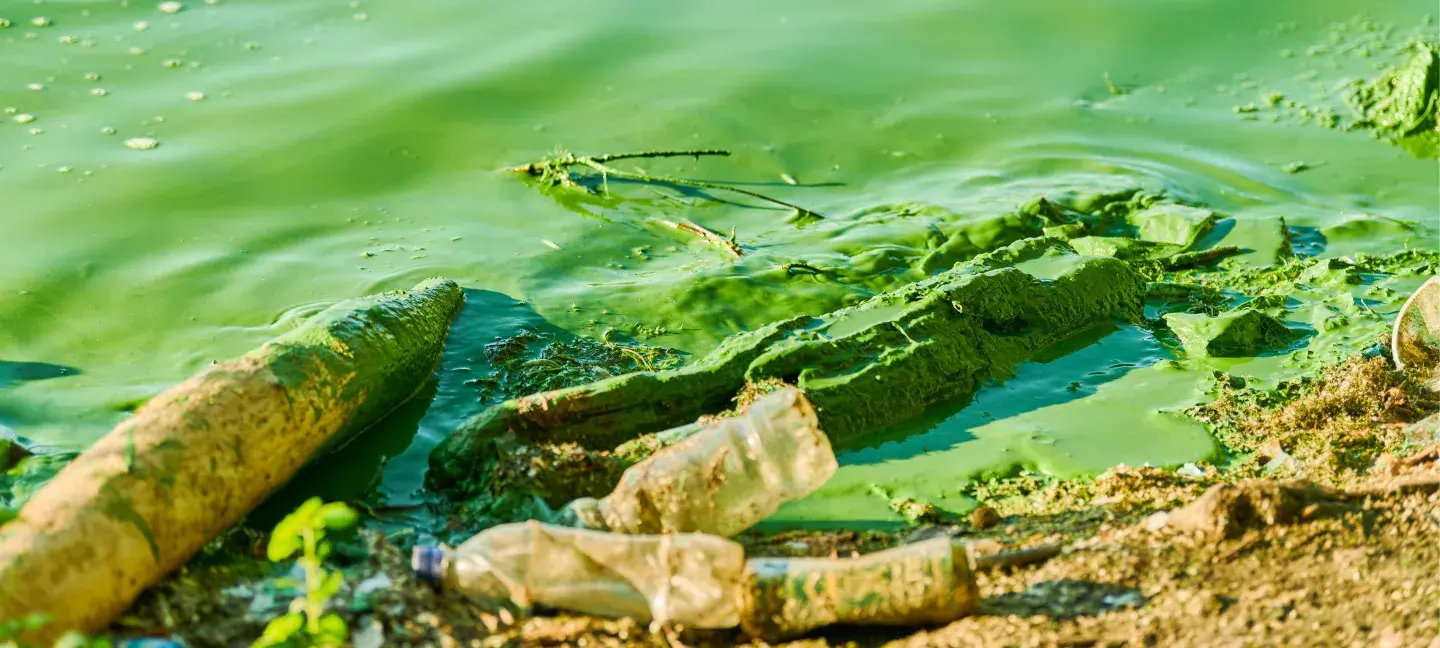 MIlieu - Milieuverontreiniging