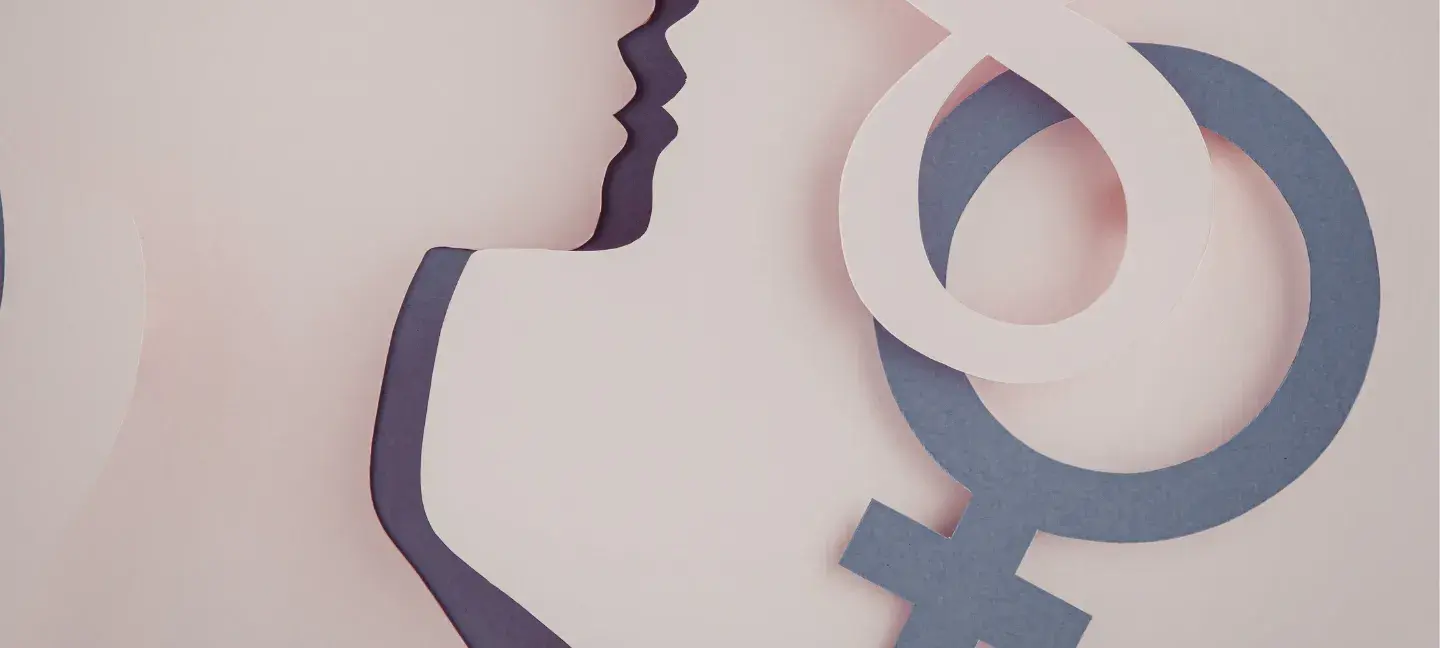 Man - Vrouw - Vrouwen en mannen - Transparantie