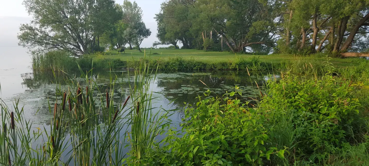 Natuur - Natuurgebieden - Natura2000