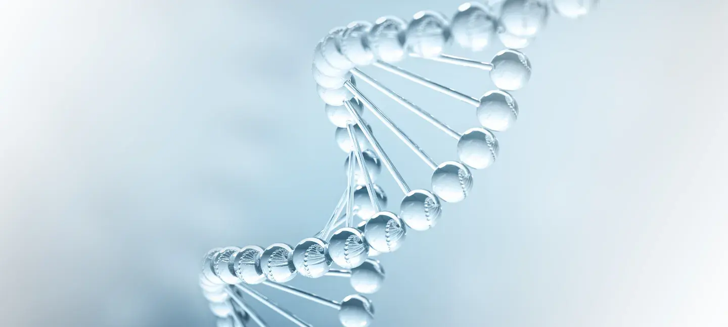 Wetenschap - Onderzoek