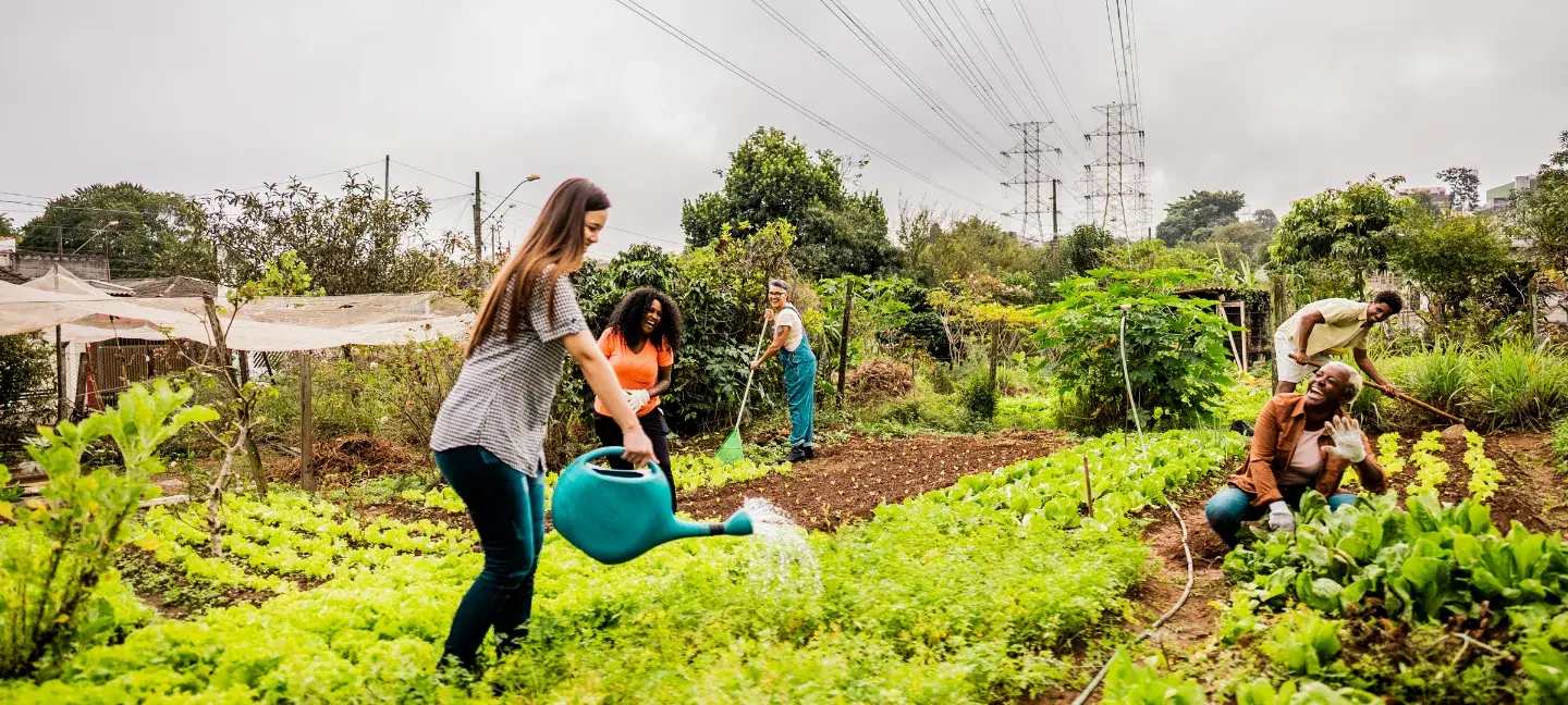 Buurttuin - Buurt - Tuinieren - Groen