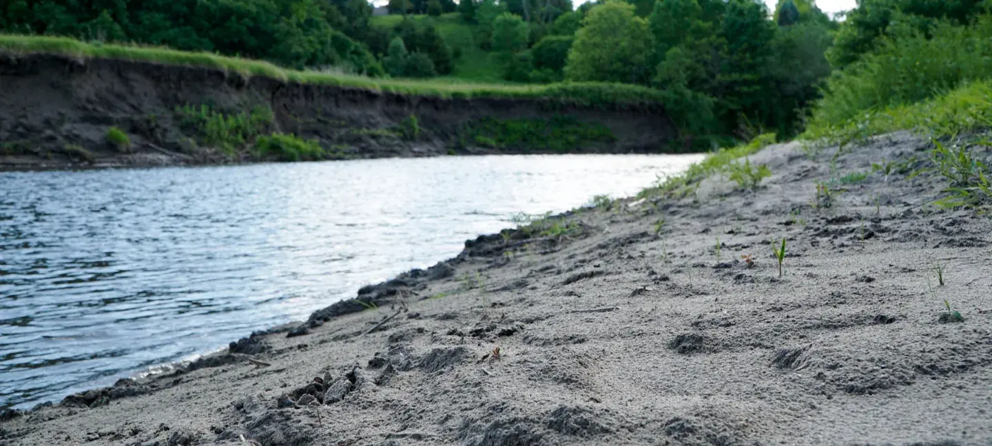 Oever - Oevers - Beschoeing