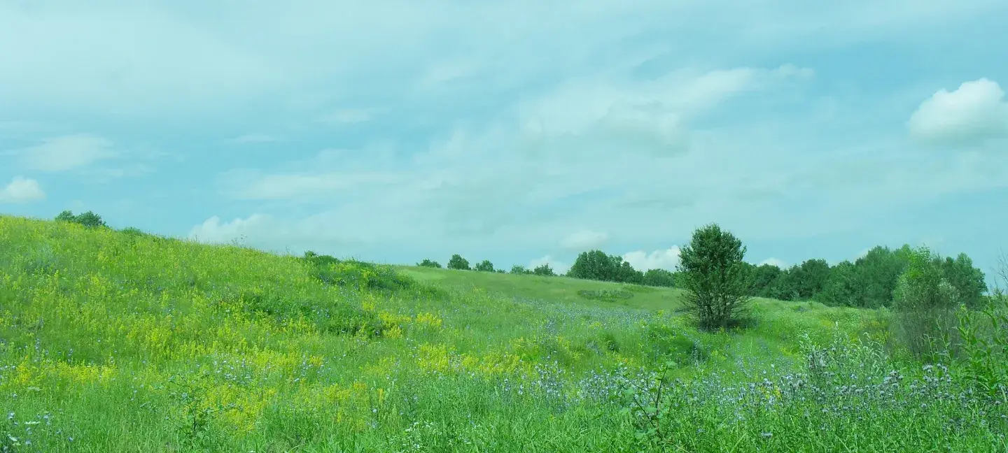 Stikstof - Natuur