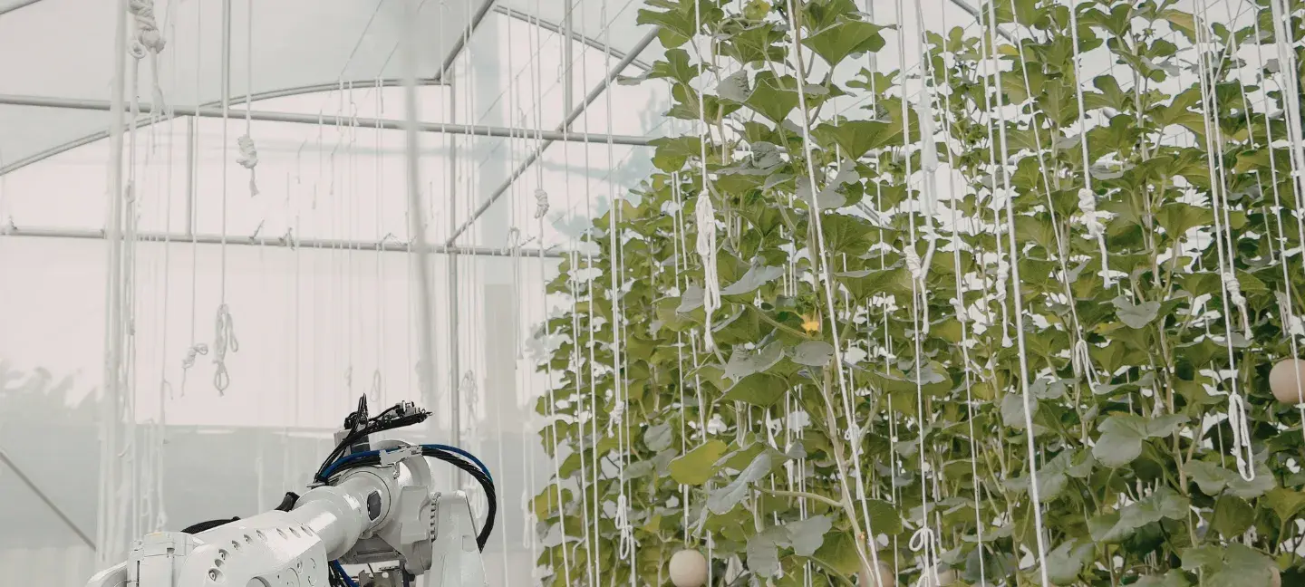 Tuinbouw - Robotica tuinbouw - Kassen - Tuinbouw