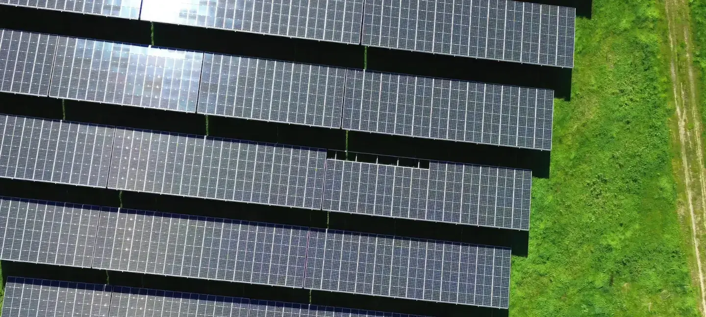 Zonnepark - Biodiversiteit