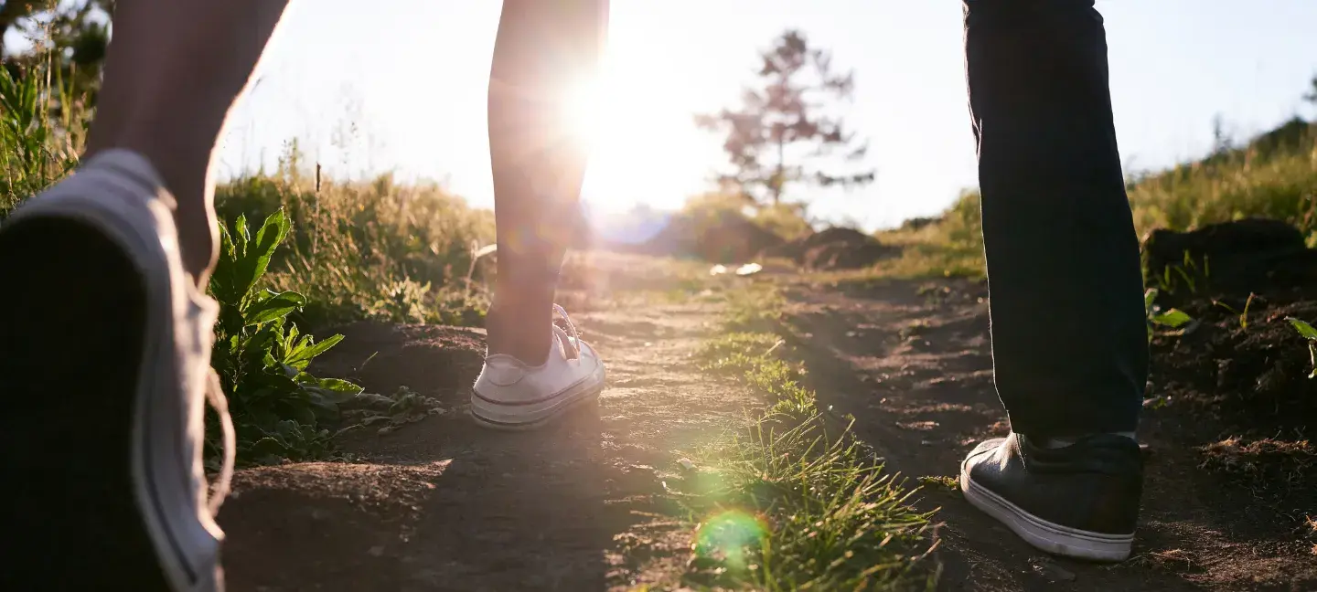 Wandelen - Wandelpaden