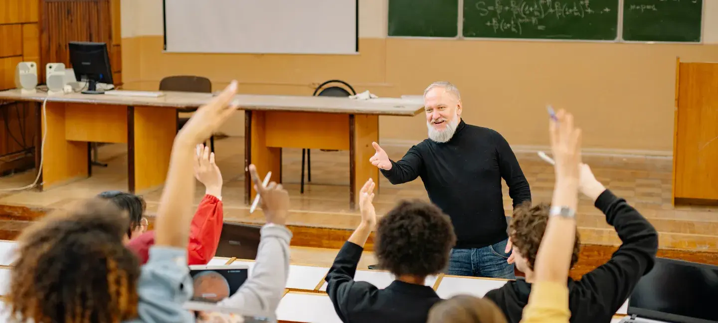 Docent - Onderwijs