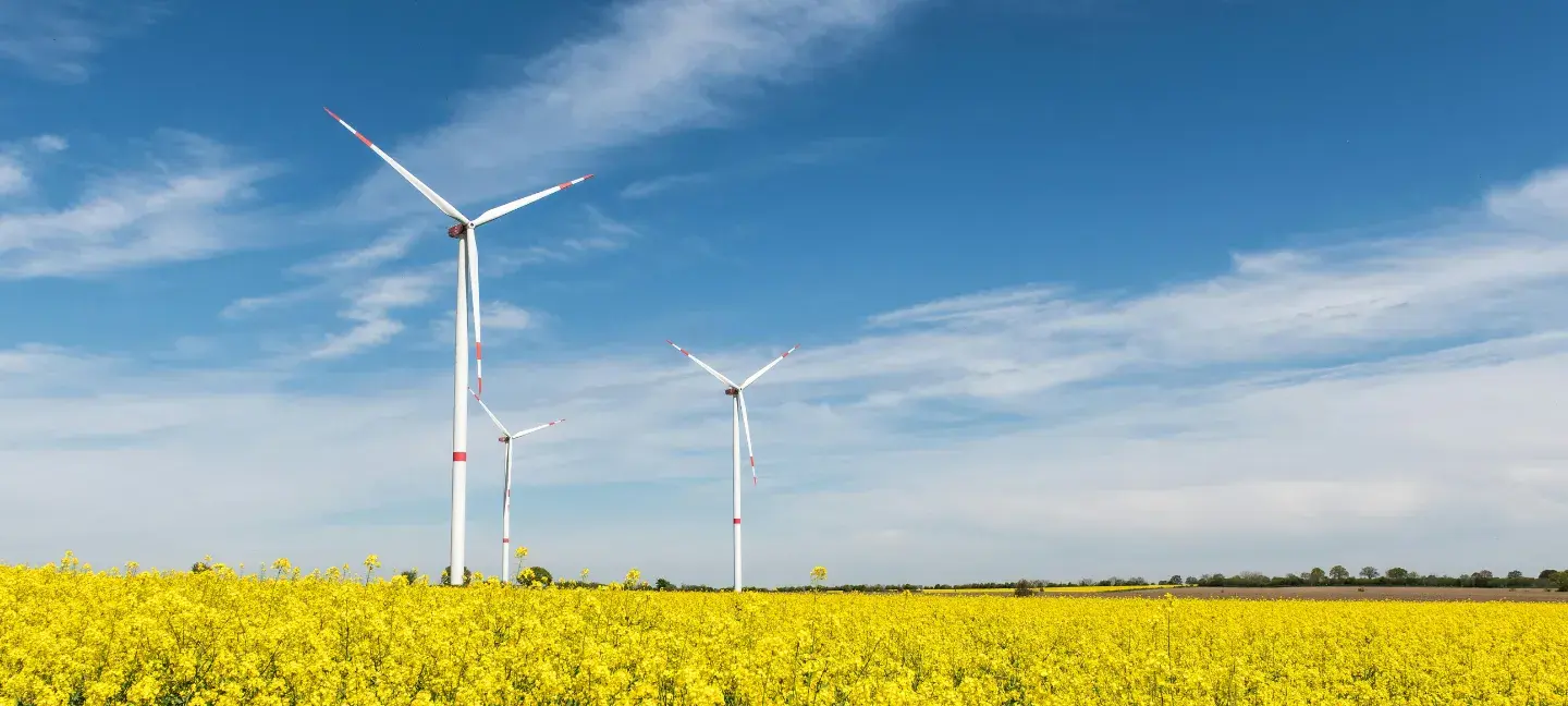 Duurzame energie - Windmolens