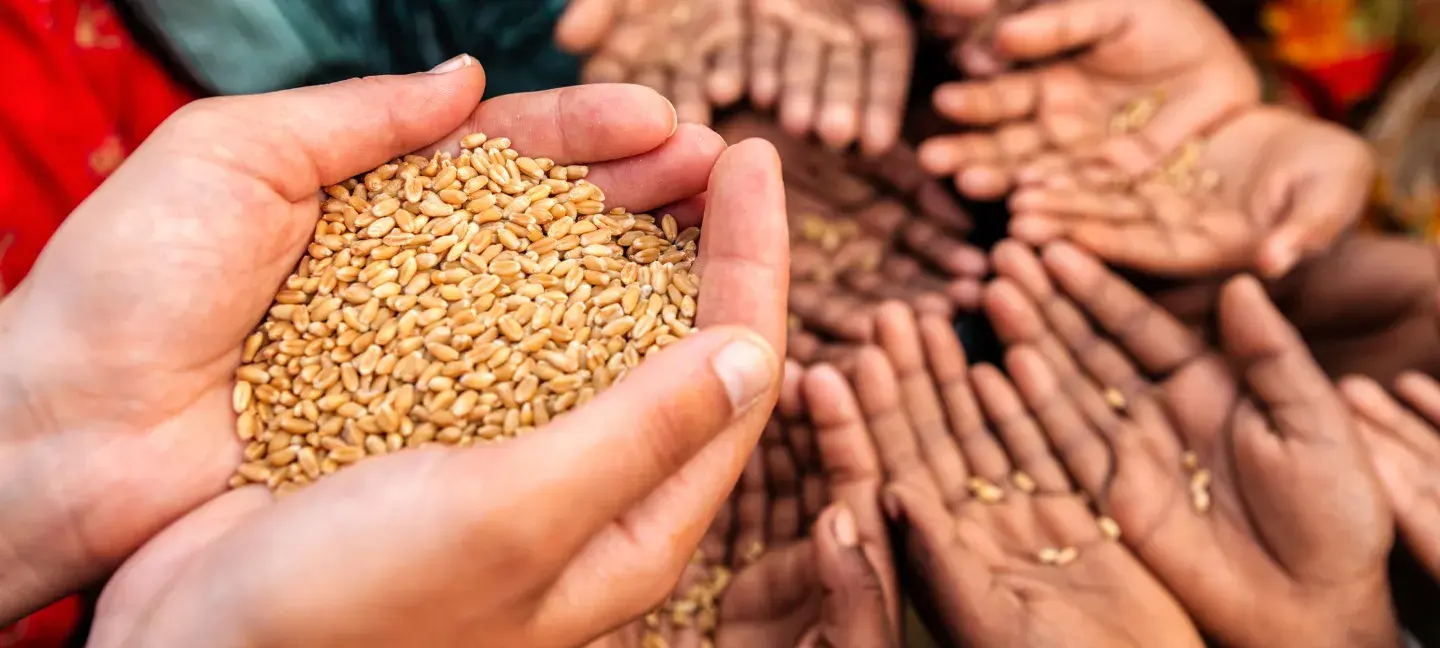 Honger