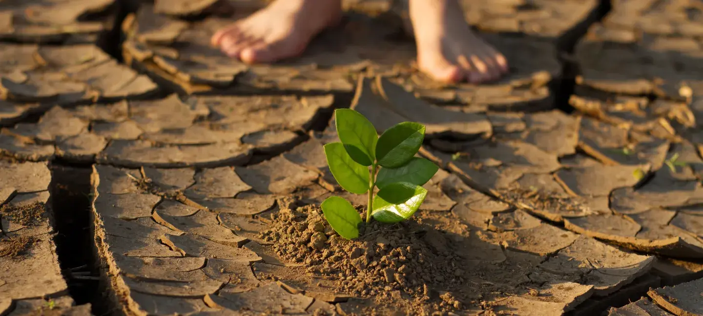 Klimaat - Klimaatverandering