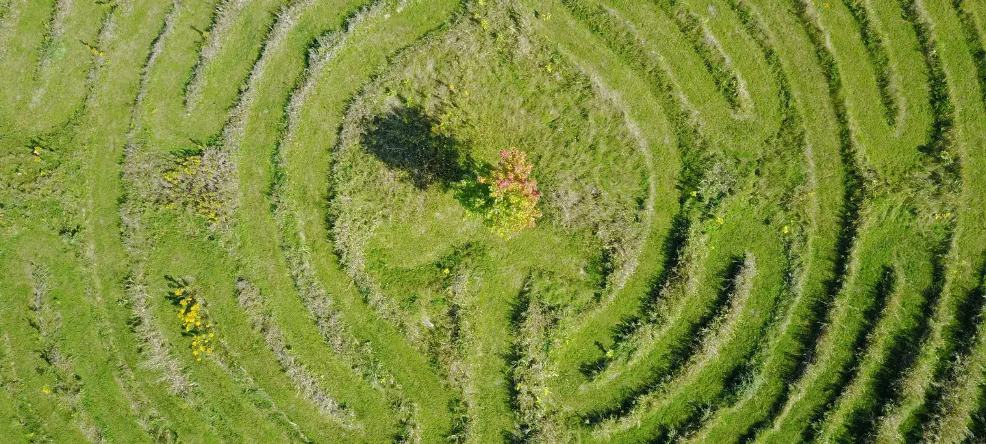 Natuur - Milieu - Circulaire economie